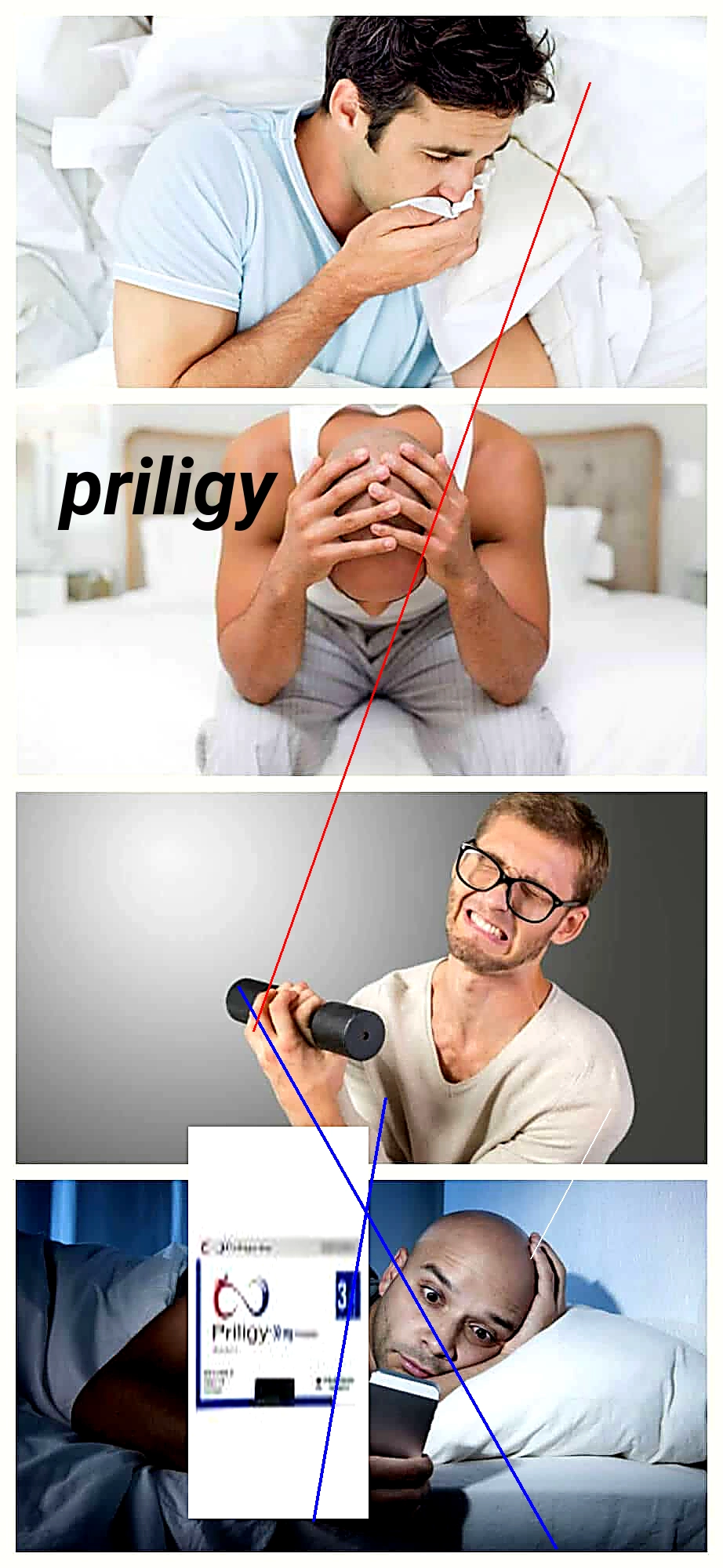 Prix du priligy